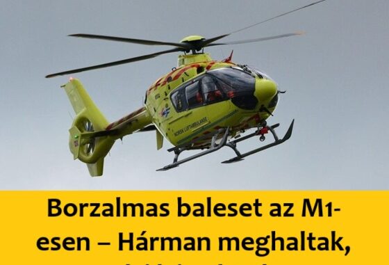 Borzalmas baleset az M1-esen – Hárman meghaltak, óriási a dugó