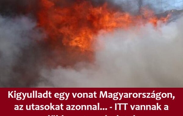 Kigyulladt egy vonat Magyarországon, az utasokat azonnal… – ITT vannak a döbbenetes részletek